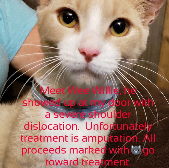 Other - 🐱 NEW LISTINGS SALE URGENT SURGICAL NEEDS🐱